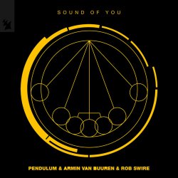 Мұқаба Pendulum & Armin van Buuren & Rob Swire - Sound of You
