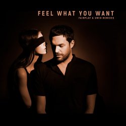 Мұқаба Phonique & Rebecca - Feel What You Want (Fairplay Remix)