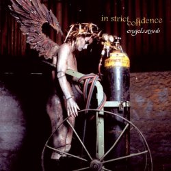 Мұқаба In Strict Confidence - Engelsstaub (Implant Mix)