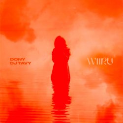 Мұқаба Dony & DJ TAVY - WIIRU