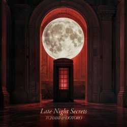 Мұқаба TCHAMI & OOTORO - Late Night Secret