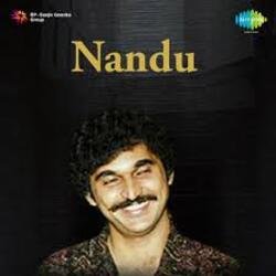 Мұқаба Nandu - Forever In Our Favor