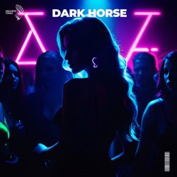 Мұқаба Slawd & Vallvete - dark horse (slowed + reverb)