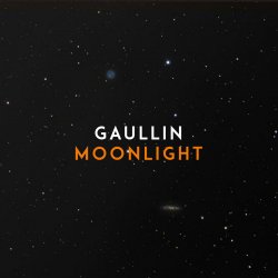 Мұқаба Gaullin - Moonlight