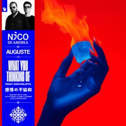 Мұқаба Nico de Andrea & AUGUSTE & Mougleta - What You Thinking Of