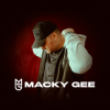 Мұқаба Macky Gee & Bizarre - Revenge Macky Gee & Bizarre - Revenge