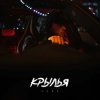 Мұқаба KRBK - Крылья KRBK - Крылья