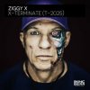 Мұқаба Ziggy X - Connexion Ziggy X - Connexion