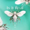 Мұқаба Kabo - Is It Real (Extended Mix) Kabo - Is It Real (Extended Mix)