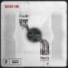 Мұқаба Sullivan King & Emorfik - Fury Sullivan King & Emorfik - Fury