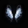 Мұқаба Whales - Believe Whales - Believe