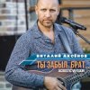 Мұқаба Виталий Аксенов - Ты забыл брат Виталий Аксенов - Ты забыл брат