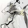 Мұқаба Autechre - Characi Autechre - Characi