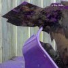 Мұқаба U-Ziq - Mushroom Compost U-Ziq - Mushroom Compost