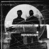 Synapscape - 2nd Sect