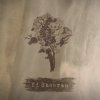 Мұқаба Ed Sheeran - Bloodstream Ed Sheeran - Bloodstream
