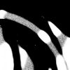 Мұқаба Cardopusher - Flesh Impact Cardopusher - Flesh Impact