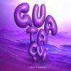 LIZOT & MeSSy - Guataqui