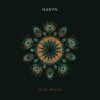 HAEVN & Lily Meola - Till the Morning
