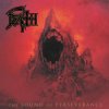 Мұқаба Death - Painkiller (Judas Priest cover) Death - Painkiller (Judas Priest cover)