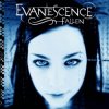 Мұқаба Evanescence - Taking Over Me Evanescence - Taking Over Me