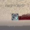 Мұқаба Deep Forest - Night Bird Deep Forest - Night Bird