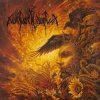 Мұқаба Nokturnal Mortum - Sorrow Of Native Lands Nokturnal Mortum - Sorrow Of Native Lands