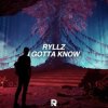 Мұқаба Ryllz - I Gotta Know Ryllz - I Gotta Know