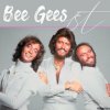 Мұқаба Bee Gees - Country Woman Bee Gees - Country Woman
