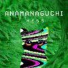 Мұқаба Anamanaguchi - Echobo Anamanaguchi - Echobo