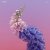 封面 Flume - 3