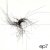 Мұқаба Autechre - Eidetic Casein