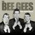 Cover Bee Gees - Let There Be Love