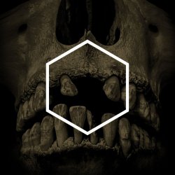 Мұқаба Lustmord - Insignificance