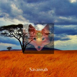 Мұқаба Savannah - Day After Day & Night