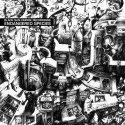 Мұқаба Black Sun Empire - Stranger