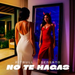 Мұқаба Pitbull & Sensato - No Te Hagas