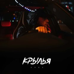 Мұқаба KRBK - Крылья