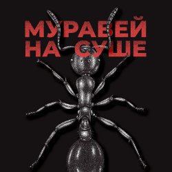 Мұқаба KRBK - Муравей на суше