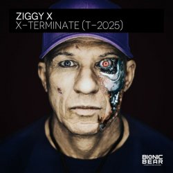 Мұқаба Ziggy X - Connexion