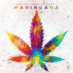 Мұқаба Ziggy X - This Rox