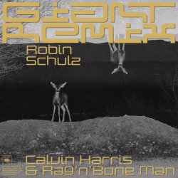 Мұқаба Robin Schulz - Intro