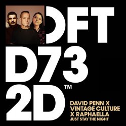 Мұқаба David Penn & Raphaella & Vintage Culture - Just Stay The Night