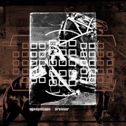 Мұқаба Synapscape - Discorrode