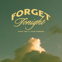 Мұқаба Steve Aoki - Forget Tonight (feat. Tyler Hubbard)