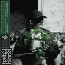 Мұқаба Skybreak - STREET GARDEN