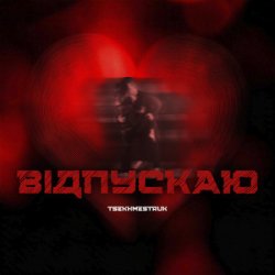 Мұқаба TSEKHMESTRUK - Відпускаю