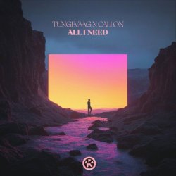 Мұқаба Tungevaag & Callon - All I Need
