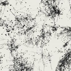Мұқаба Taylor Deupree - Everything's Gone Grey