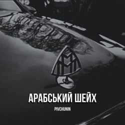 Мұқаба Pivchunin - Арабський шейх